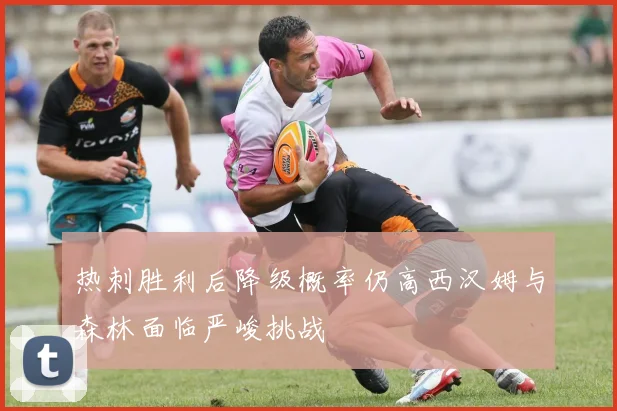 热刺胜利后降级概率仍高西汉姆与森林面临严峻挑战