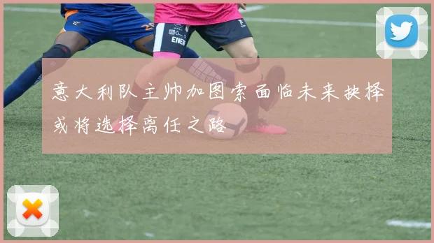 意大利队主帅加图索面临未来抉择或将选择离任之路