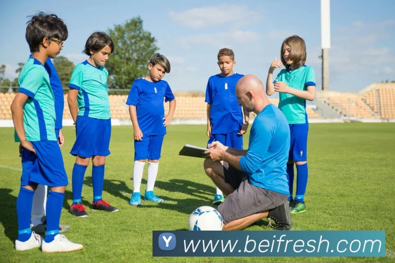 星空官方站网站，星空（中国）平台生态图